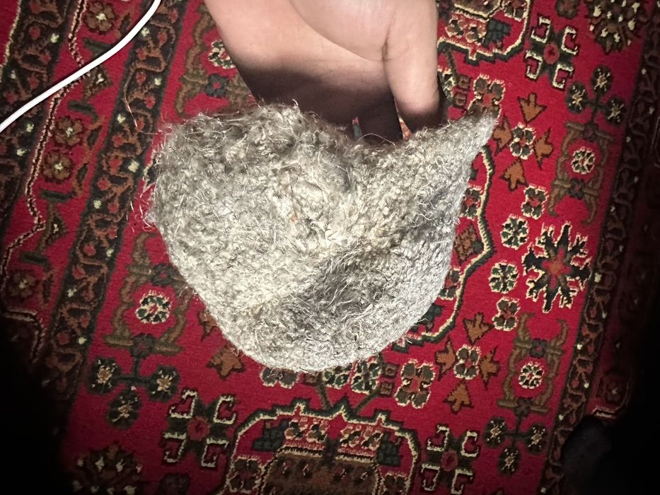 Құрқылтайдың ұясы . Гнездо ремеза