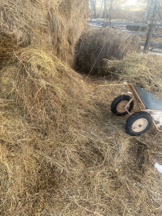 продам сено и салому