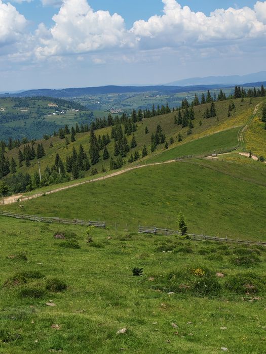 Teren intravilan