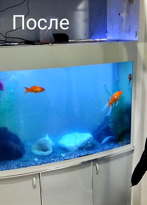 Чистка аквариума