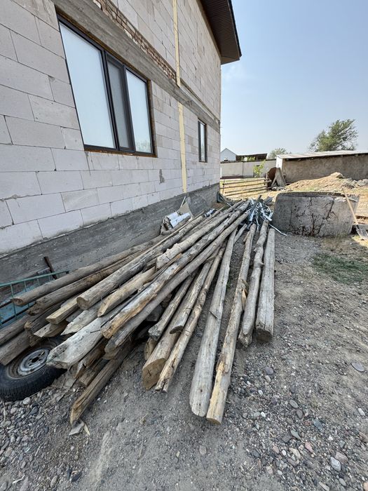 Дерева кругляк длинный