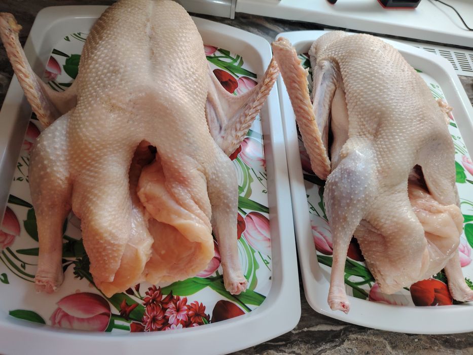 Продам тушки гусей