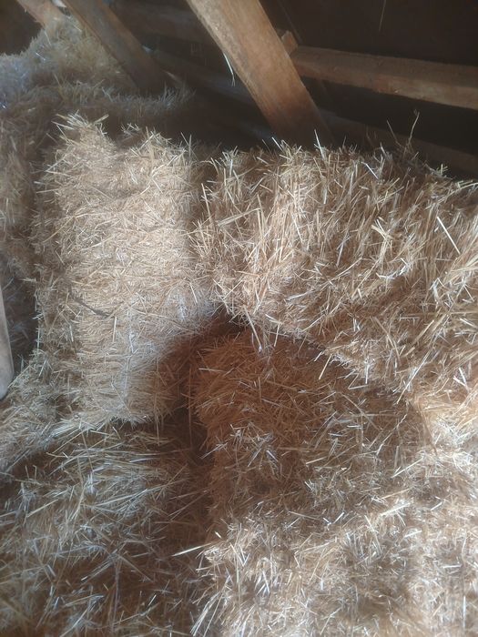 Сабан прес сатылады