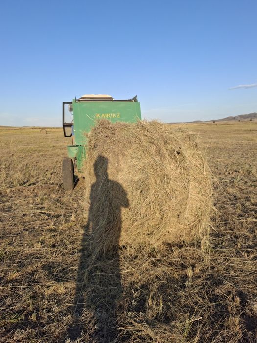 продам сено в рулонах
