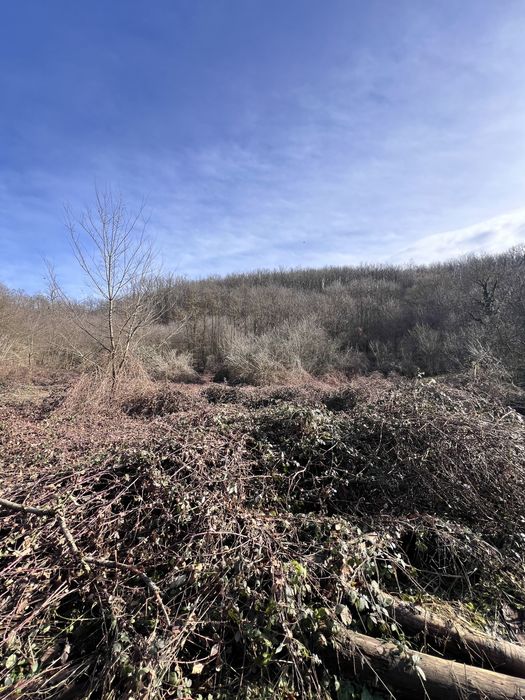 Conop teren intravilan