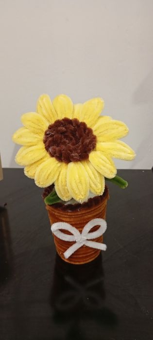 Вечни цветя в саксия