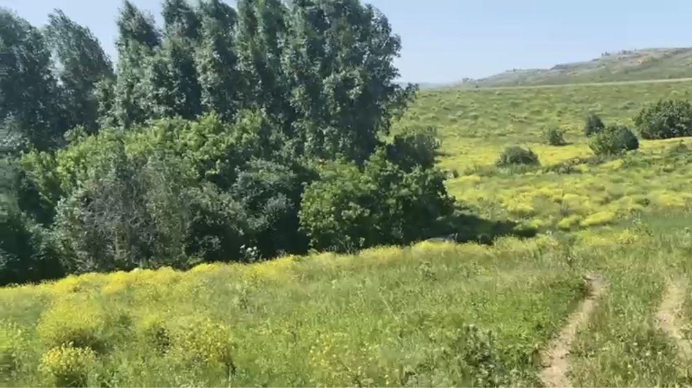 Продам земельный участок