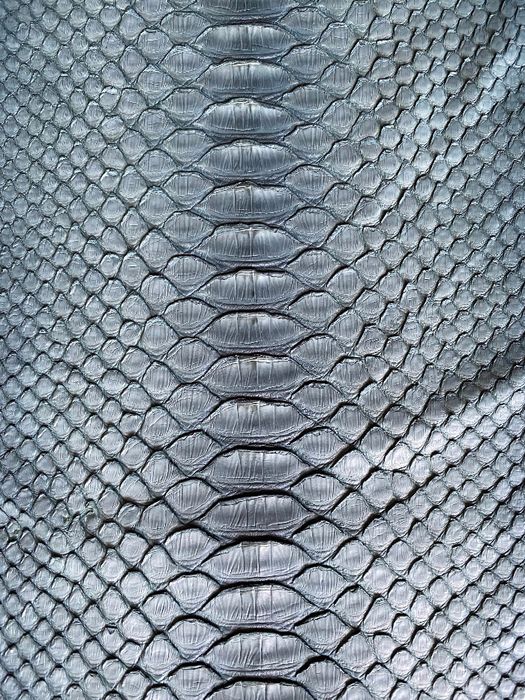 Естествена змийска кожа