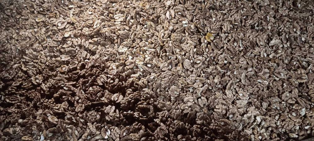 Miez de Nuca stoc permanent mixt jumătăți