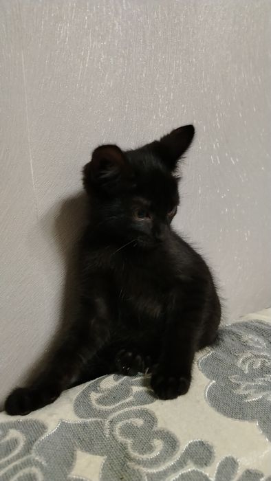 Мальчик 2,5 месяца