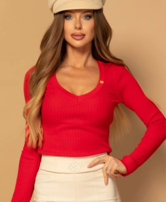 Клин алеса alessa