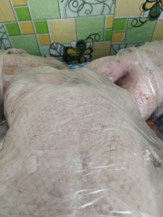 продам гусей домашних