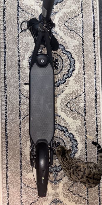 Электросамокат segwey ninebot 25 км/ч