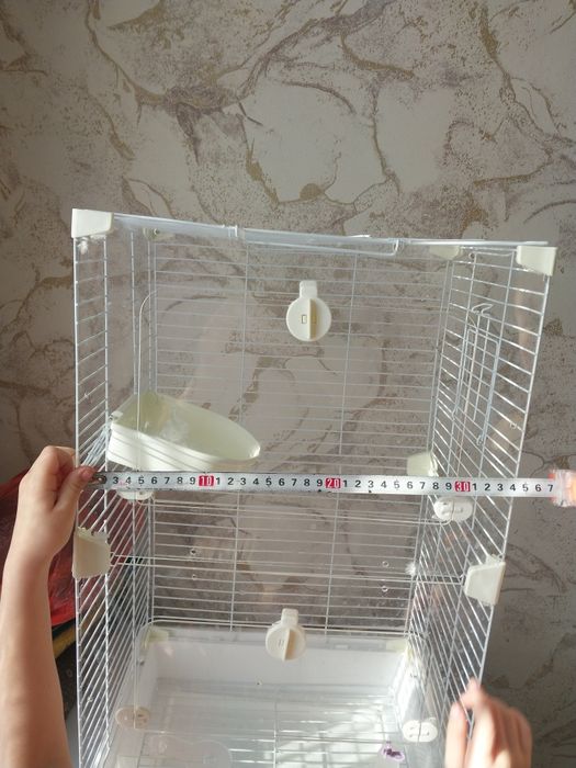 Продам волнистые попугаев