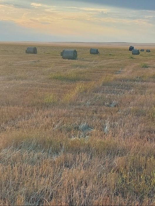 рулонный шоп, сено рулонные