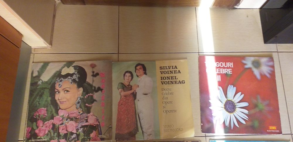 Discuri de vinil