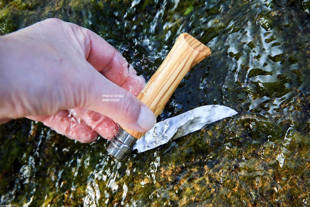 Сгъваем нож  Opinel Франция МАСЛИНА N°08 Olive Wood