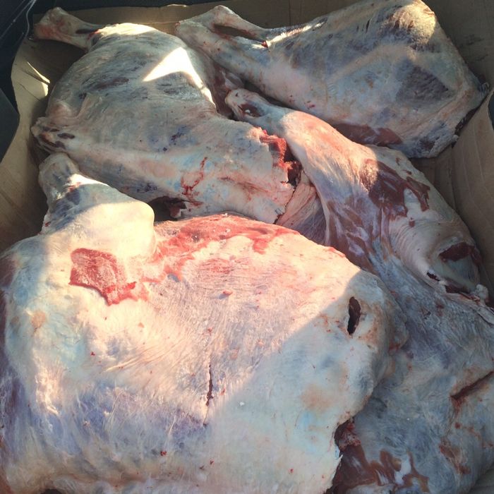 Мясо Халал всегда в наличии