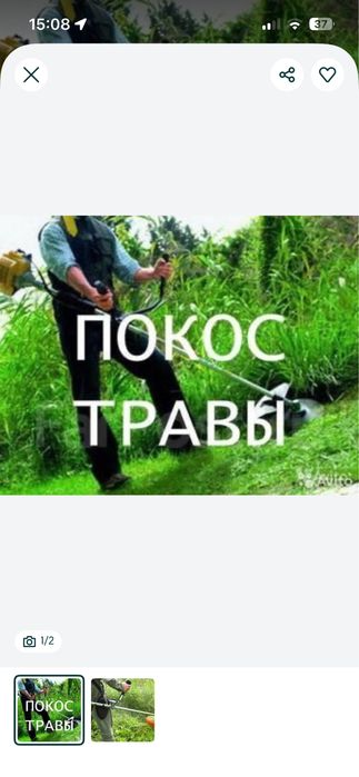 Покос травы с триммером
