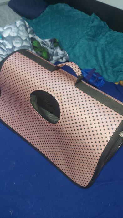 Cusca pisica,folosita foarte putin