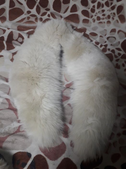 Женские кроссовки