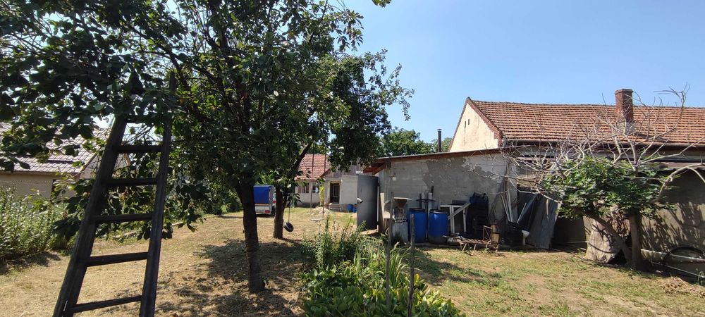 Casă cu utilități și teren intravilan de VÂNZARE în Belinț