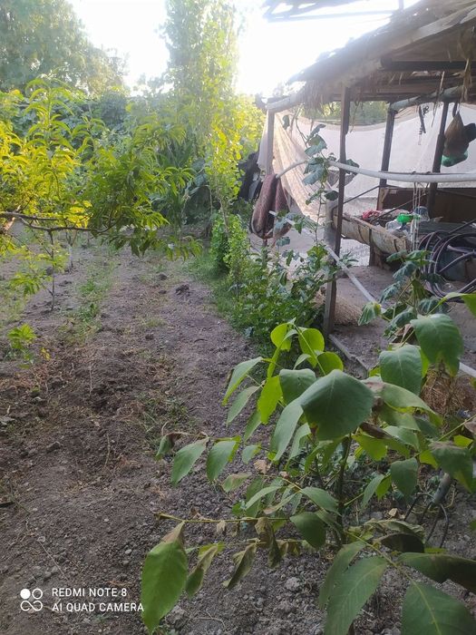 Yer sotiladi 2 sotix Zangi Ota Bogzor mahalla