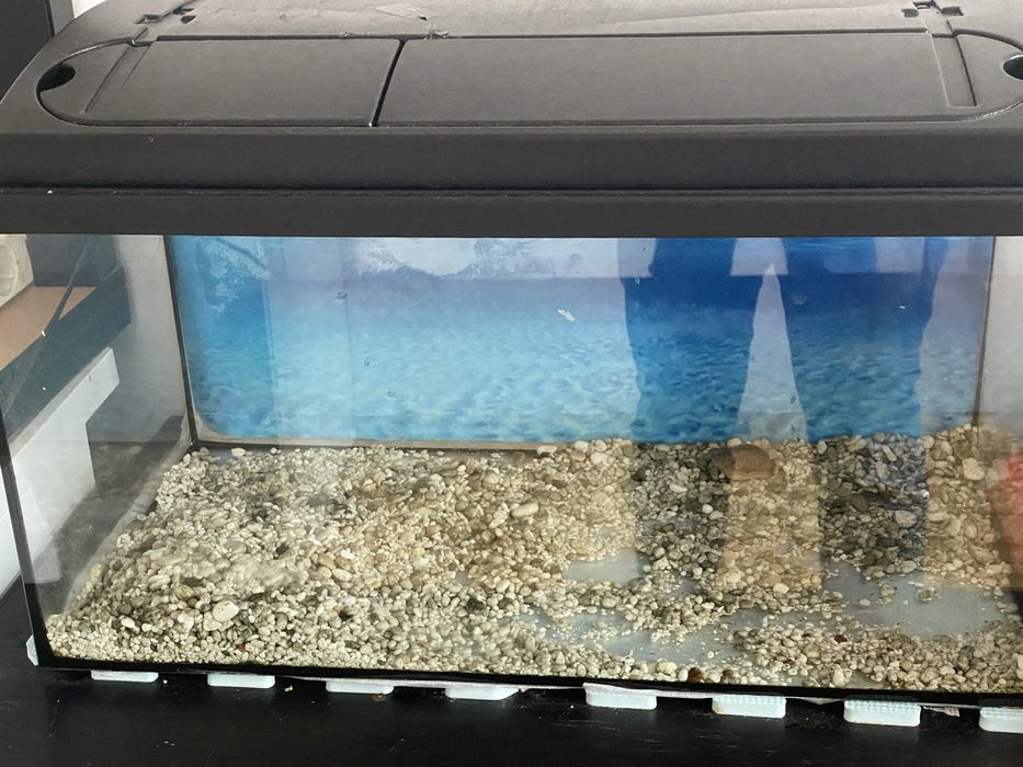 аквариум Eheim 54л