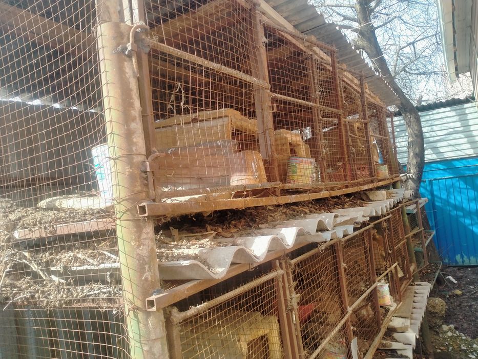 Клетка для кроликов