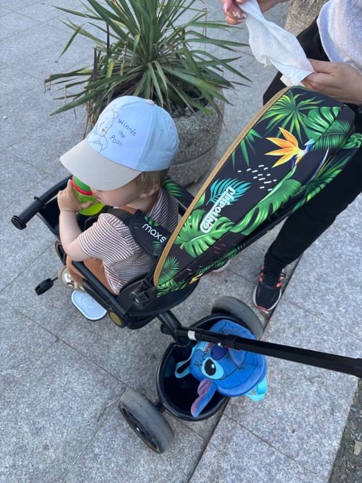 Триколка Chipolino Max Sport Jungle