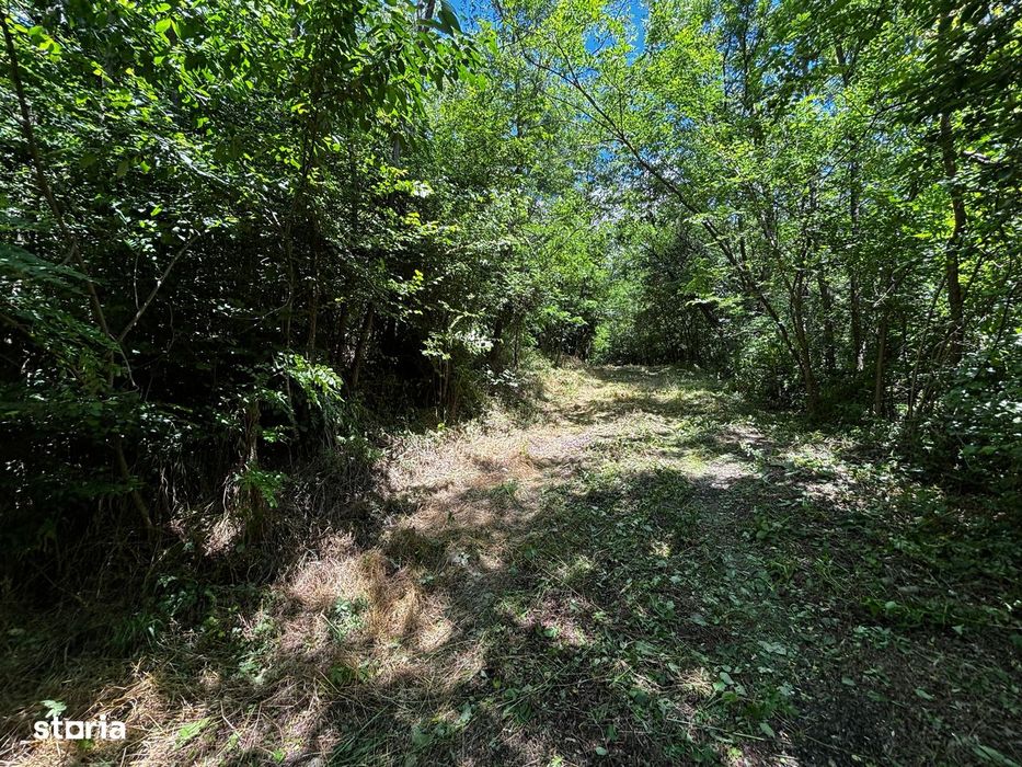 Teren Padure 6857 mp. intravilan Com Bujoreni-Valcea