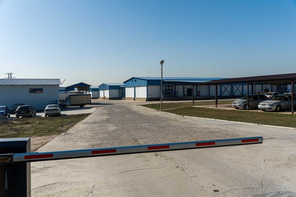 Аренда холодильника и морозильника