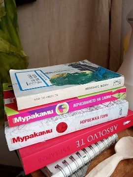 Книги :Мураками, Джек Лондон, Бърдаров