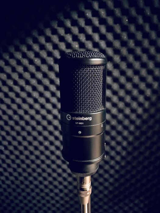 Cubase steinberg микрофон