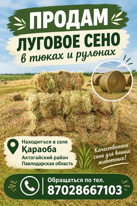 Продам луговое сено