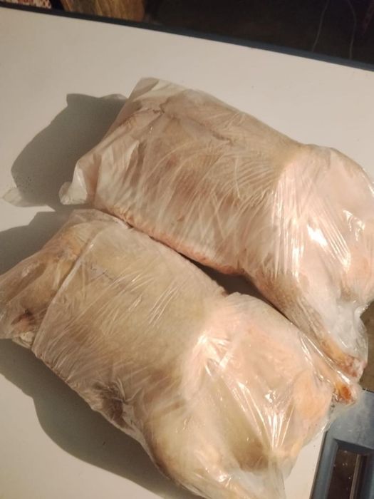 Продам домашних Гусей тушки