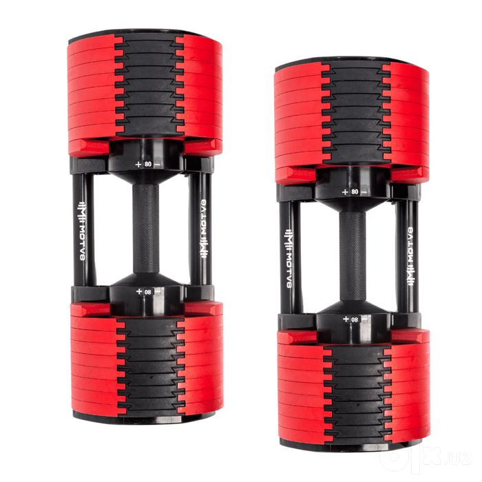 Гантел регулируемый Гантел трансформер Fitness Gear