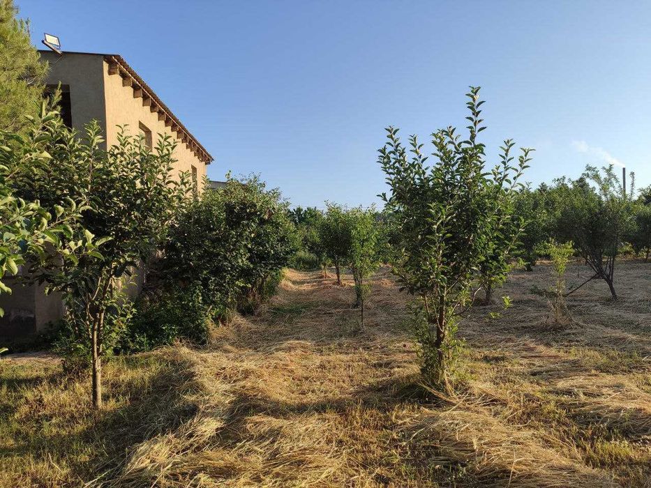 Карши шахар, Шайхали МФЙ, Шайхали кучаси 5/63-уй (49-сотих) турар жой.