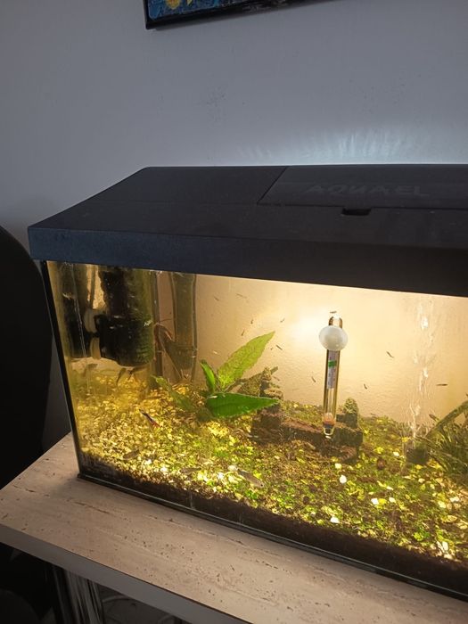 Acvariu capacitate 54 l