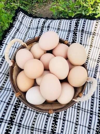 Ouă de țară de vânzare