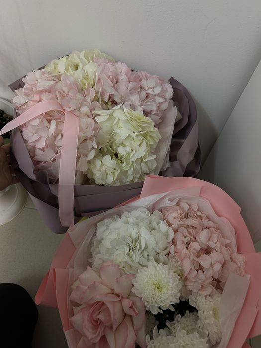 гортензия цветыы