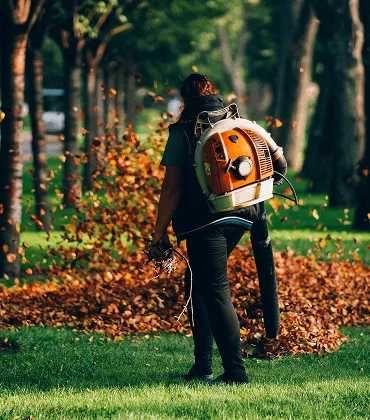 Рязане на дървета -> Почистване на дворове