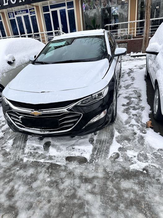 Malibu prmyer 2022 tozza