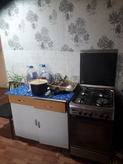 Продам дом в центре бишкуля