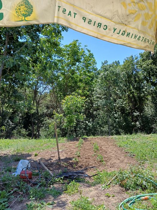 Продава се Парцел в с. Доброглед, Област Варна - 800 кв.м за 19 €/кв.м - Снимка #2