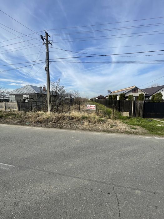 Teren  Plesoiu(Arcesti Cot)- Gazele vis-a-vis