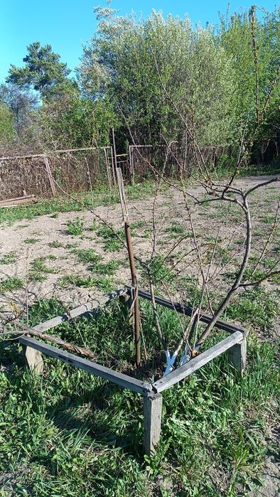 Продам дачу в Ромашке