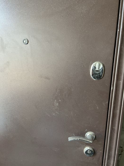 Дверь входная TOREX 200*80см