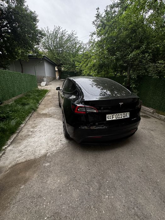 Tesla model Y performance