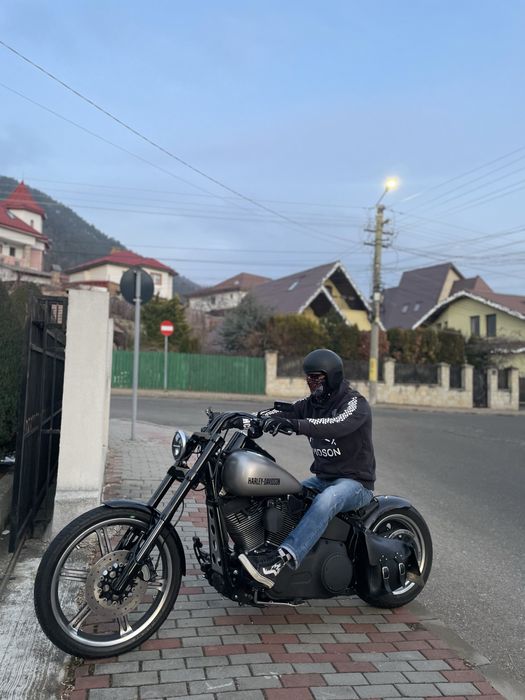 harley davidson  custom 2007